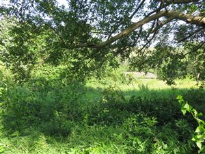 1201 m² Land available in Mtunzini