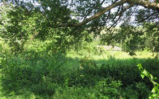 1201 m² Land available in Mtunzini