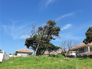 714 m² Land available in Shelly Beach