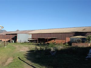 10 ha Farm in Joubertina