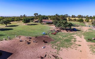 8.5 ha Farm in Grootvlei