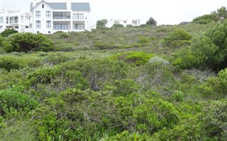 466 m² Land available in Agulhas