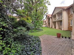 1 Bed Apartment in Hillcrest