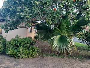 2 Bed House in ZSM Industrial