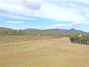 10 ha Farm in Napier