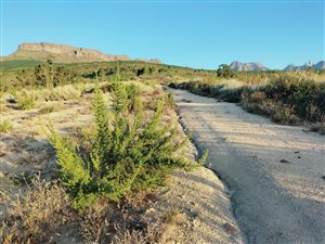 133 ha Farm in Paarl