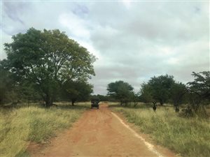 83 ha Farm in Krokodilspruit