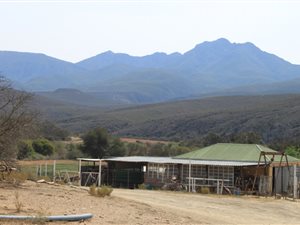 517 ha Farm in Uniondale