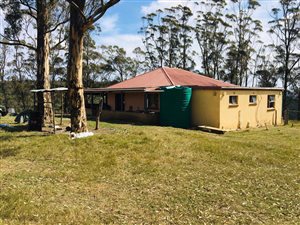 41.7 ha Farm in King Williams Town