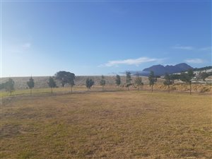 5.2 ha Farm in Sir Lowrys Pass