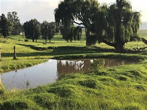 88.4 ha Farm in Harrismith