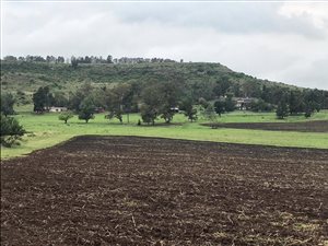 88.4 ha Farm in Harrismith