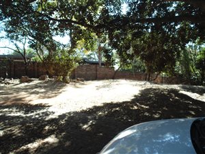 15 Bed House in Murrayfield