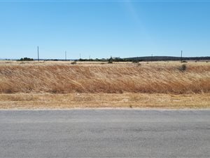 2 ha Land available in Long Acres