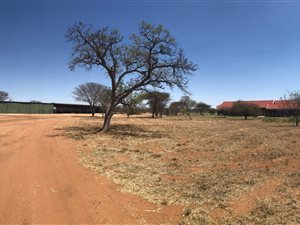 100 ha Farm in Dendron