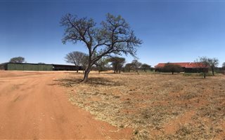 100 ha Farm in Dendron