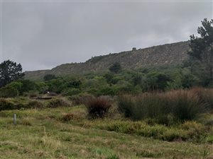 702 m² Land available in Groenvallei