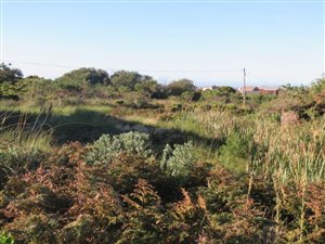 880 m² Land available in Bettys Bay