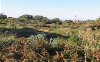 880 m² Land available in Bettys Bay