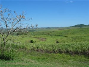 7950 m² Land available in Zinkwazi Beach