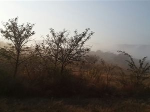 42 ha Farm in Lydenburg