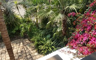 1 Bedroom Apartment in Colbyn