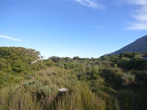 896 m² Land available in Bettys Bay