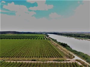 51 ha Farm in Upington