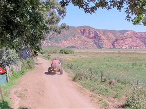 4 Bed House in Gamtoos