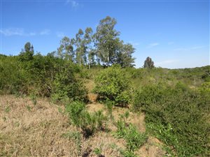 8565 m² Land available in Bathurst and Surrounds