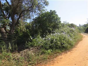 8565 m² Land available in Bathurst and Surrounds