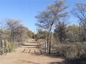 8.5 ha Farm in Bela-Bela (Warmbaths)