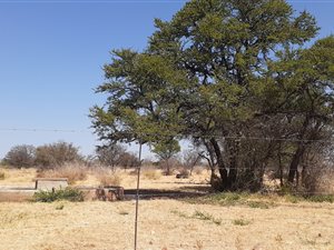 940 ha Farm in Klipfontein View