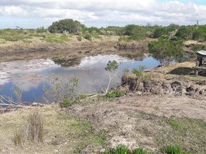 101 ha Farm in Albertinia