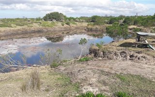 101 ha Commercial Farm in Albertinia