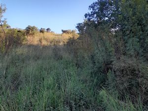 3.8 ha Land available in Wildebeeshoek AH