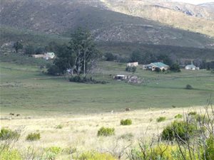 1158 ha Farm in Joubertina