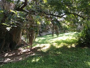 1316 m² Land available in Hibberdene