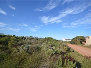 917 m² Land available in Bettys Bay