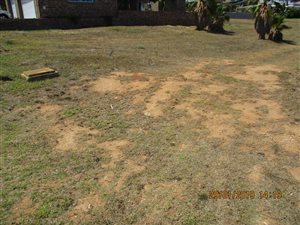 600 m² Land available in Monte Christo