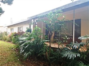 3 Bed House in Fairview