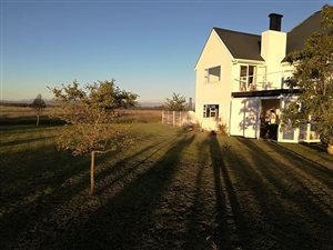 71514 ha Farm in Cape Farms