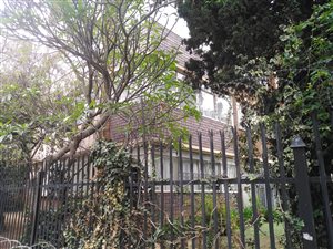 1.5 Bed Apartment in Sunnyside