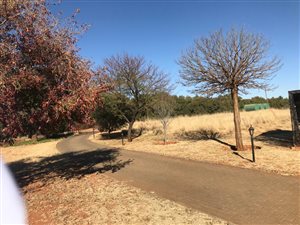 4.3 ha Farm in Spitskop