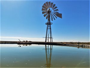 9955 ha Farm in Upington