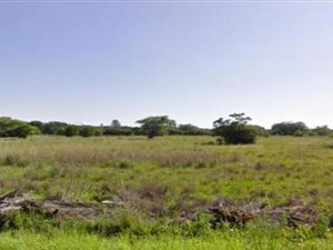 2.1 ha Land available in Rynoue