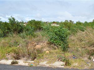 648 m² Land available in Parsons Ridge