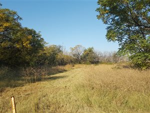 1 ha Land available in Rietfontein