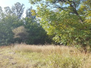 1 ha Land available in Rietfontein