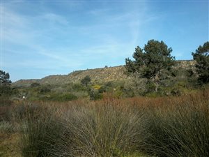 700 m² Land available in Groenvallei